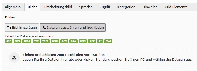 Reiter „Bilder” mit Schaltflächen „Bild hinzufügen” und „Dateien auswählen und hochladen” sowie Liste erlaubter Dateiendungen GIF/JPG/JPEG/TIF/TIFF/BMP/PCX/TGA/PNG/PDF/AI/SVG