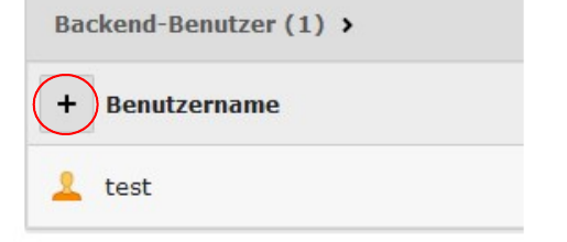 Abschnitt „Backend-Benutzer (1)” mit Plus-Symbol zum Hinzufügen und existierendem Beispiel-Benutzer „test”