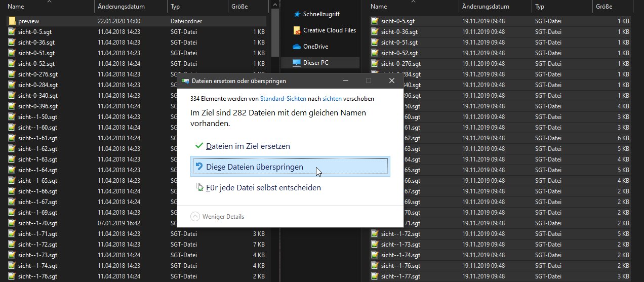 Zwei Datei-Explorer-Fenster mit SGT-Dateien — Dialog „Dateien ersetzen oder überspringen” mit Markierung der Option „Diese Dateien überspringen”, weil Standard-Sichten und Standard-Settings nicht überschrieben werden dürfen